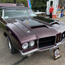 Car Plum IMG_9285